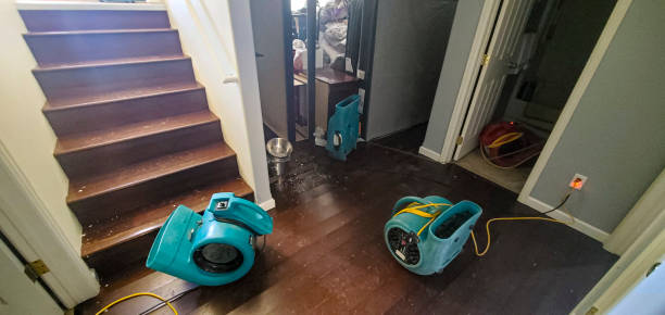 Best Water damage restoration mold remediation  in Lynn, IN