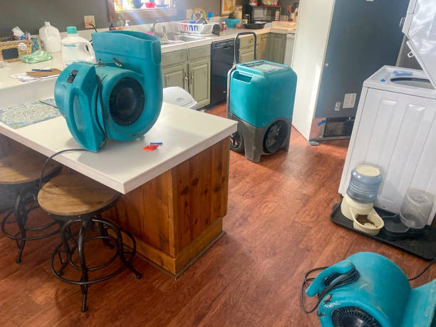 Best Water damage cleanup near me  in Lynn, IN