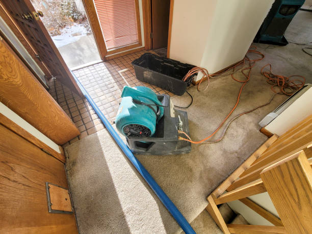 Best Flood restoration services  in Lynn, IN