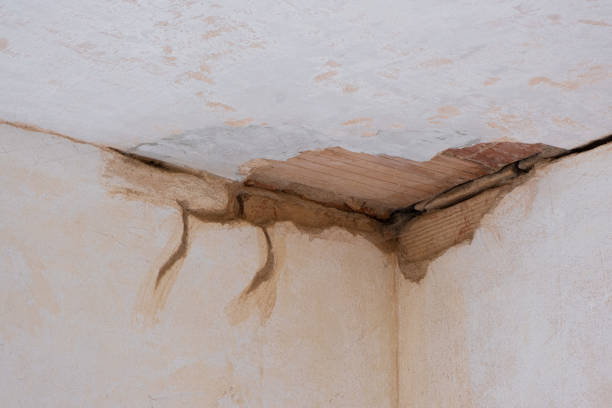 Best Mold removal after water damage  in Lynn, IN