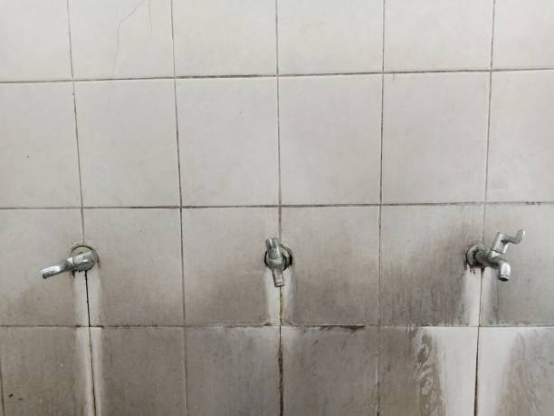 Best Water damage contractors near me  in Lynn, IN
