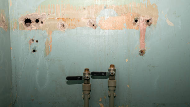 Best Basement water damage restoration  in Lynn, IN