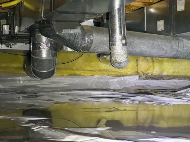 Best Water damage repair service  in Lynn, IN