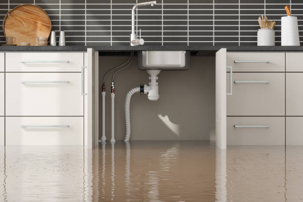 Best Flood damage cleanup  in Lynn, IN