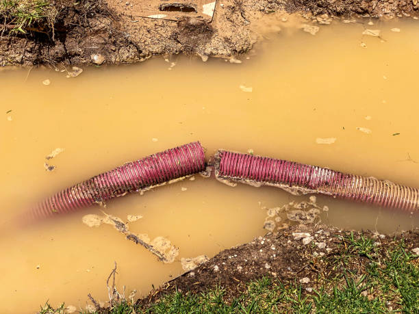Best Local water damage restoration  in Lynn, IN