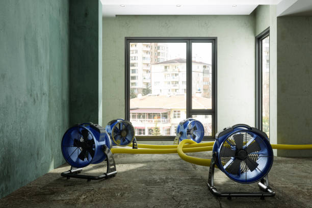 Best Residential water damage restoration  in Lynn, IN